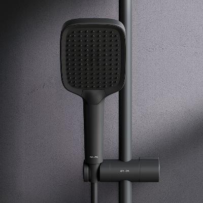 Лейка для душа AM.PM Func F028F022 черная