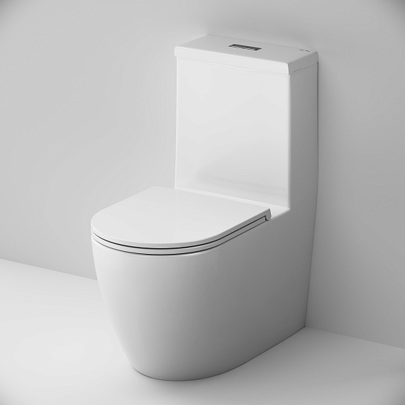 Унитаз напольный AM.PM Func C8F8900SC безободковый с сиденьем микролифт, белый-3