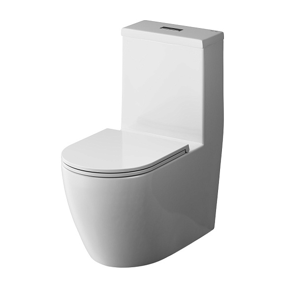 Унитаз напольный AM.PM Func C8F8900SC безободковый с сиденьем микролифт, белый-10