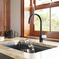 Смеситель для кухни AM.PM Like F8007S22 высокий с каналом питьевой воды, черный + фильтр для воды