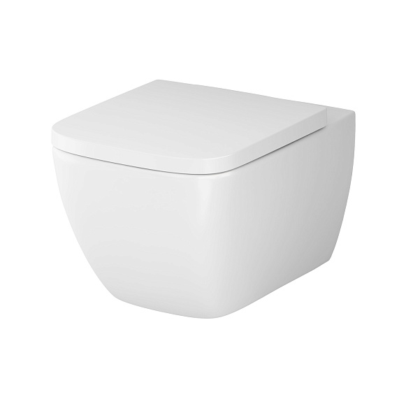 Унитаз подвесной AM.PM Gem C901701SC безободковый с сиденьем микролифт, белый-9